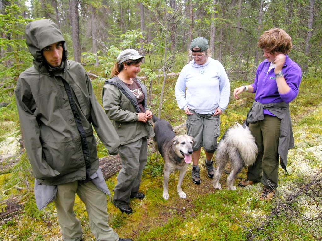 trapline
